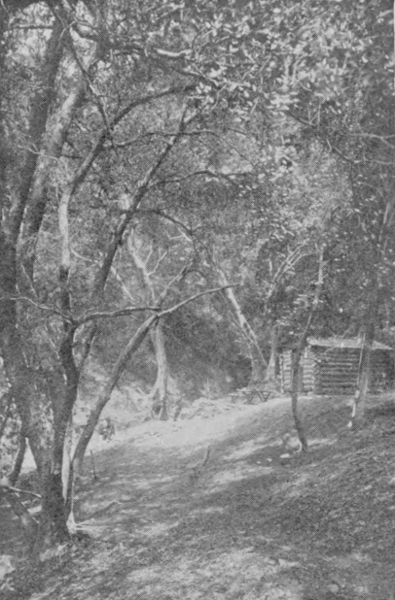 Log Cabin, Mount Lowe Springs.