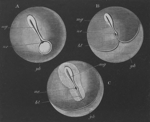 Illustration: Figure 93