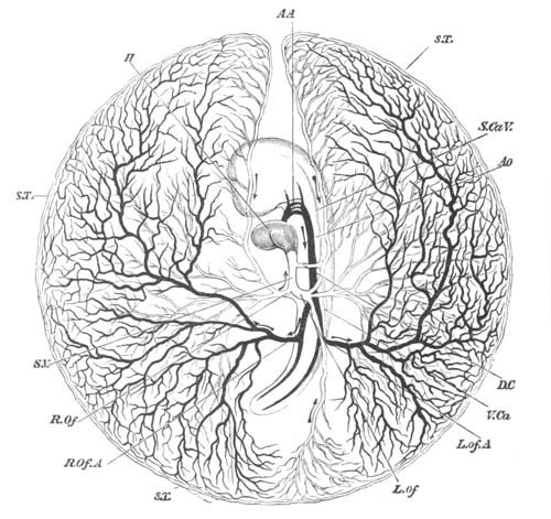 Illustration: Figure 125