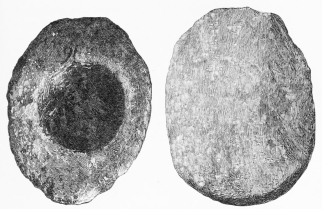 Nos. 102, 103. Hand Mill-stones of Lava from Lowest
Stratum (14-16 M.).