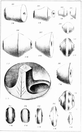 SPECIMENS OF WHORLS, &c. DUG UP AT TROY