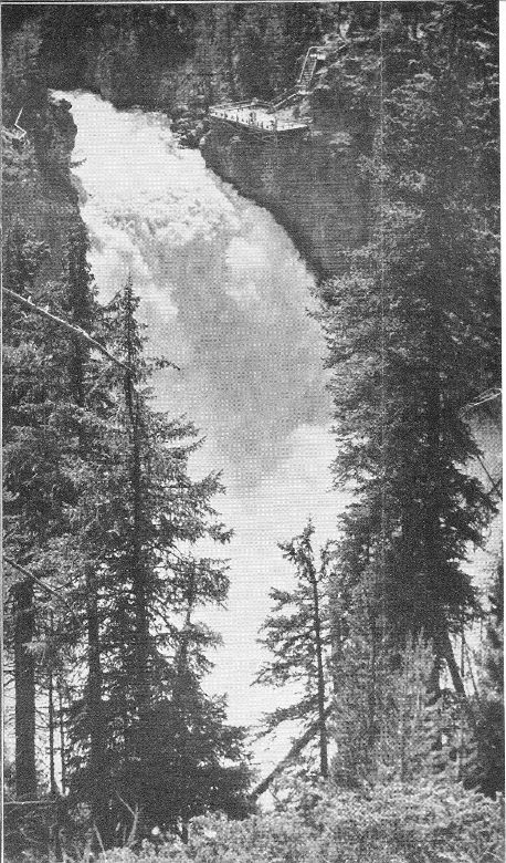 Not far from Chittenden Bridge, the Yellowstone plunges down the Upper Falls. Seen from the lookout platform or from the camera viewpoint here, the fury and power of the cataract is indescribably impressive.