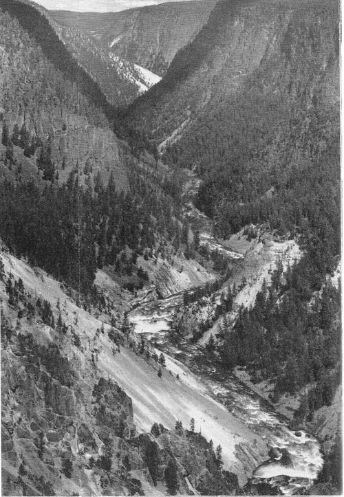 Looking northeast from Inspiration Point, the canyon of the Yellowstone spreads its splendor before you. Do an about-face here and the view is toward the lower falls. Rapids lace the dark water with creamy foam.