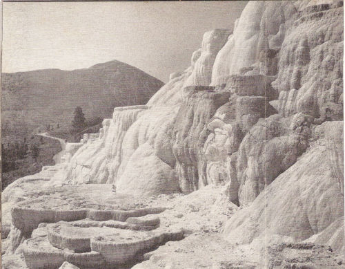 Pulpit Terrace at Mammoth Hot Springs has been built up from the mineral laden waters of hot springs. Ashy white in its dry, natural state, the rocky walls are tinted rainbow colors by living algae in the waters.