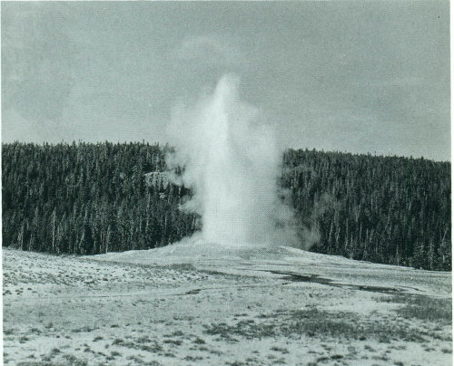 Old Faithful Geyser, Yellowstone National Park, Wyoming.