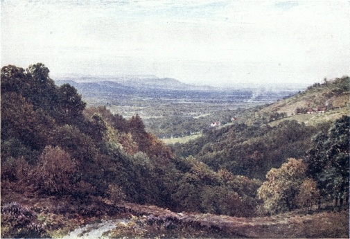 A WIDE STRETCH FROM THE GIBBET, HINDHEAD.