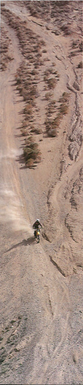 Off-road vehicles significantly increase soil loss in the delicate desert environment of the western United States. In a few seconds, soils that took hundreds of years to develop can be destroyed (photograph by Terrence Moore).