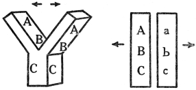 CHROMOSOMES IN CELL DIVISION

Figure 1, chromosome splitting in ordinary cell division, in which each
determiner splits in half, contrasts with Figure 2, reduction division,
in which the chromosomes of the pair are simply pulled apart.