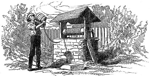 farmer looking into well bucket