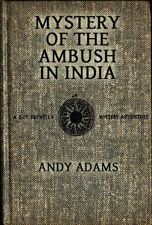 Mystery of the Ambush in India