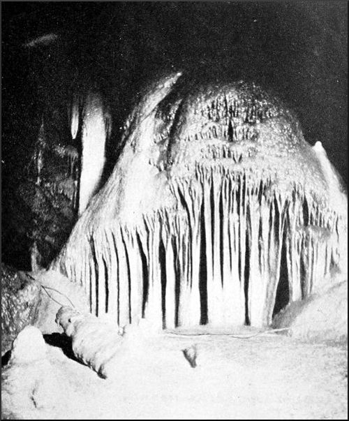 ORGAN PIPES, GOUGH'S CAVES, CHEDDAR.