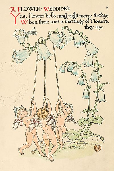 cherubs rining bluebells