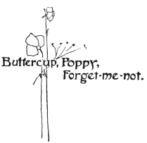 Image unavailable: Buttercup, Poppy,
Forget-me-not.