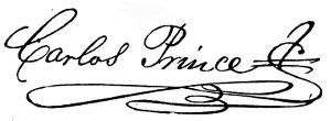 Firma del autor