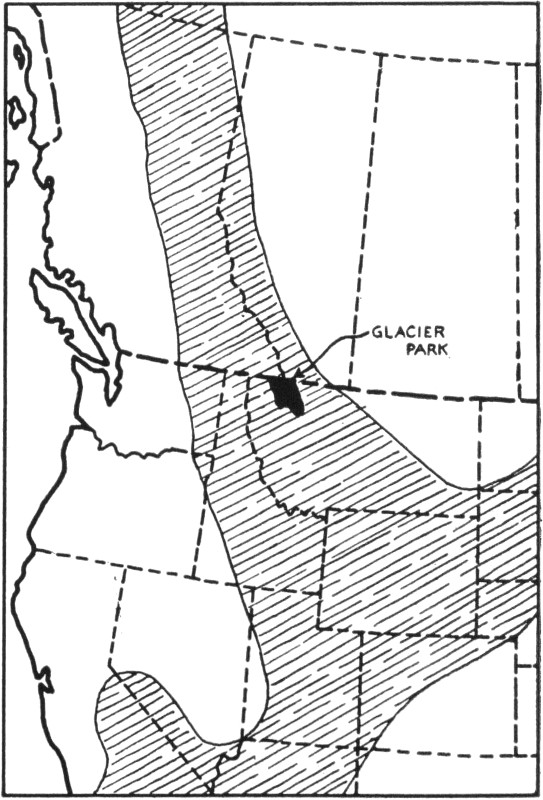 FIGURE 1. BELT GEOSYNCLINE