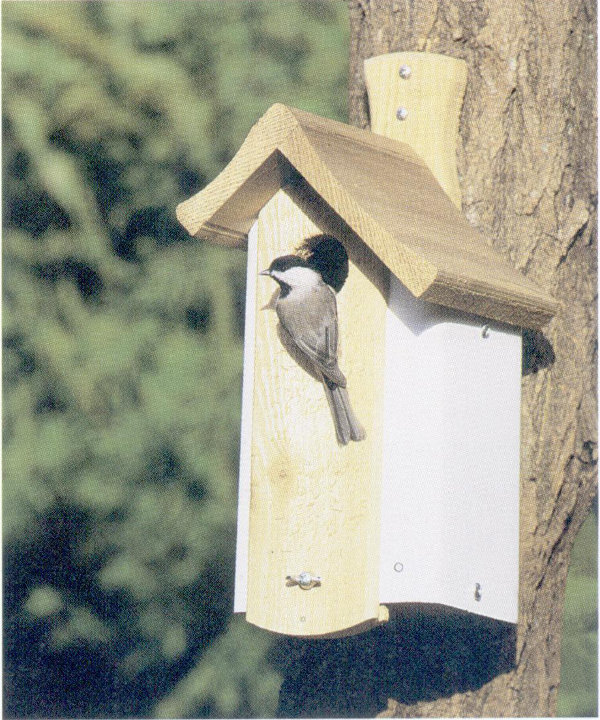 Titmouse house