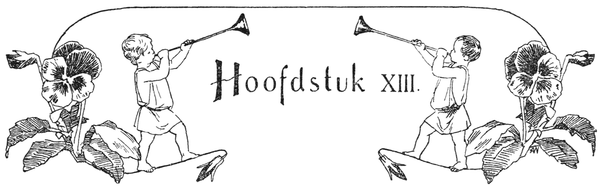 Hoofdstuk XIII.