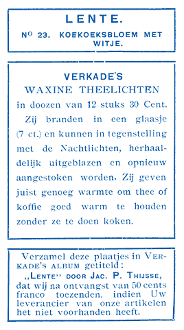 Koekoeksbloem met Witje.