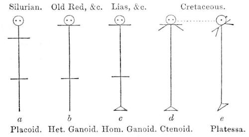 Diagram of the degradation described