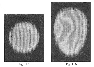 Fig.115. Round germinative area of
the rabbit. Fig. 116. Oval area, with the opaque whitish border of the dark
area without.